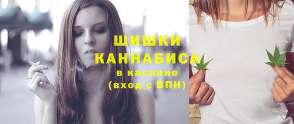 меф Богородицк